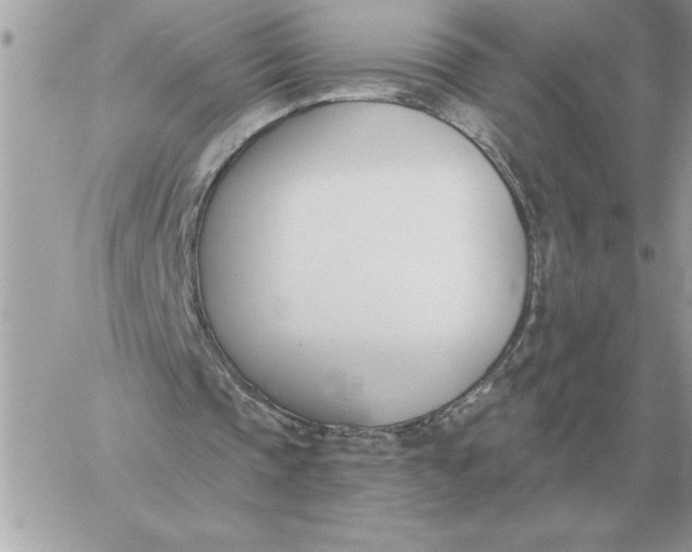 X0000060270337200511112052