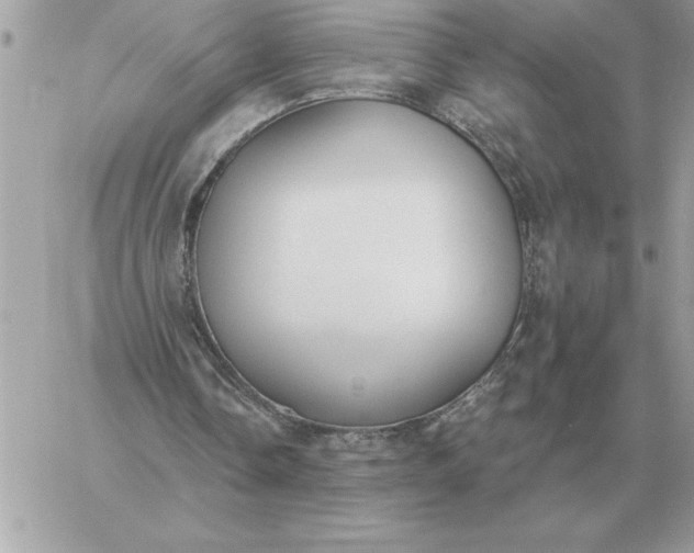 X0000060270338200511112052