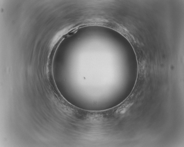 X0000060270340200511112052