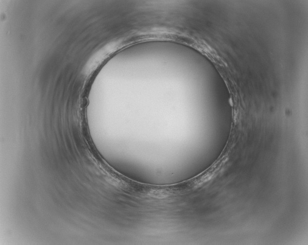 X0000060270341200511112052