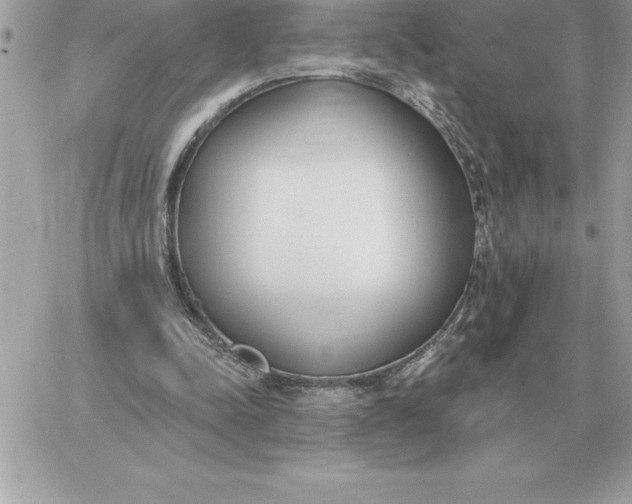 X0000060270342200511112052