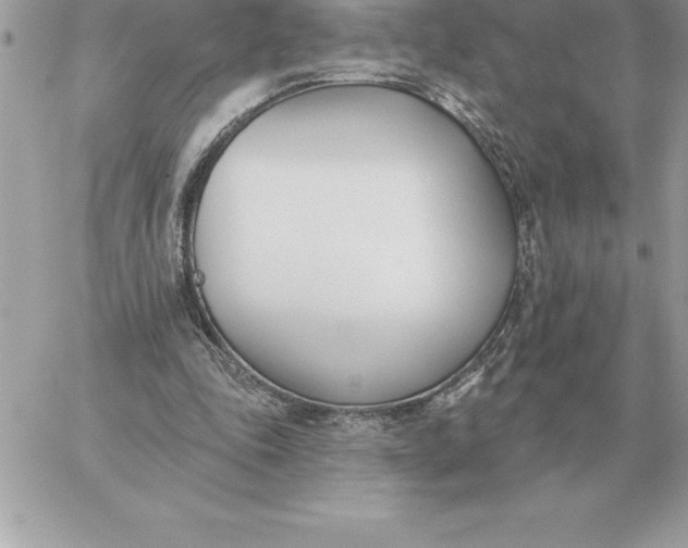 X0000060270343200511112052