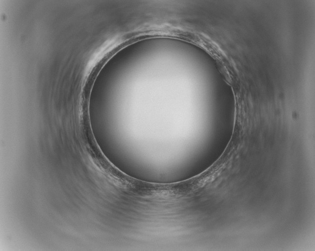 X0000060270344200511112053