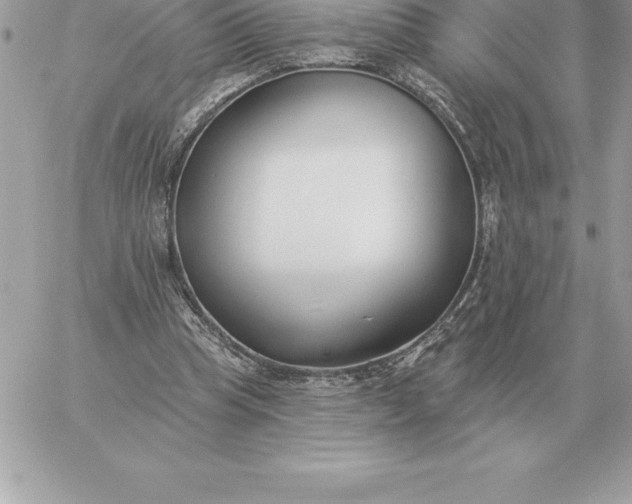 X0000060270345200511112053