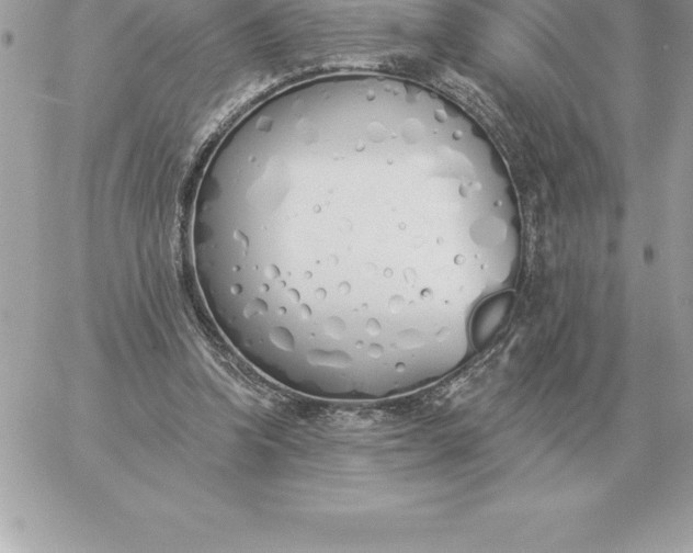 X0000060270346200511112053