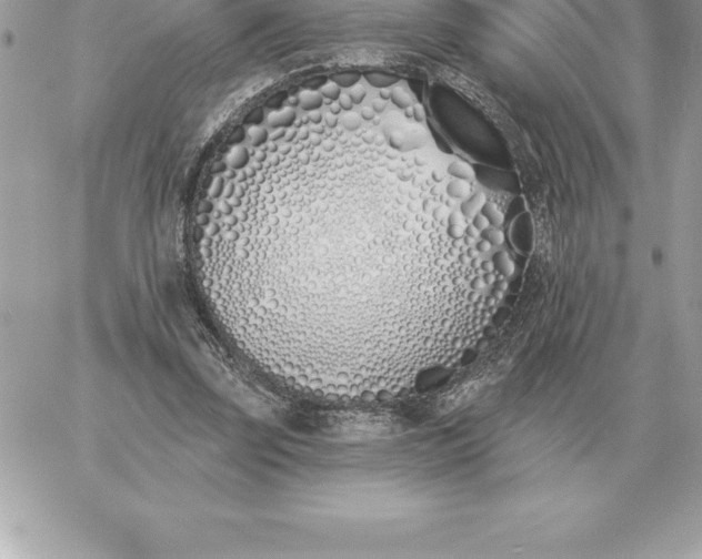 X0000060270347200511112053