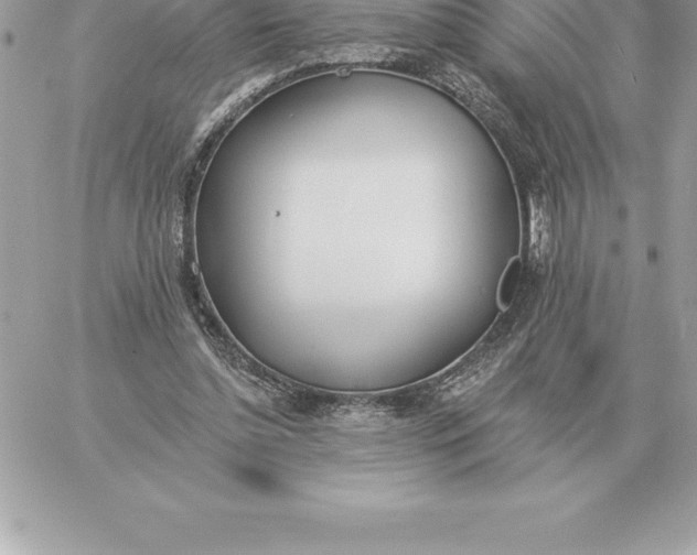 X0000060270348200511112053