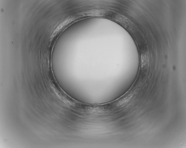 X0000060270349200511112053