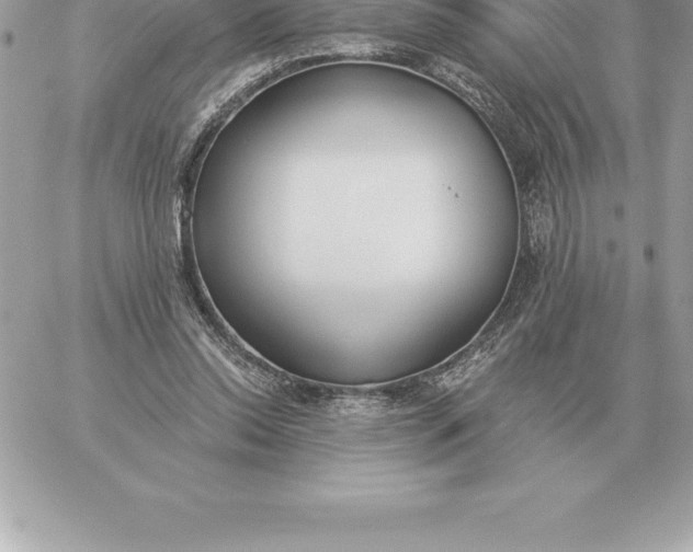 X0000060270350200511112053