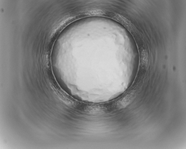 X0000060270351200511112053