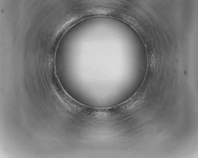 X0000060270352200511112053