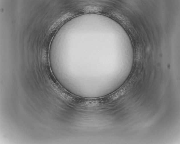 X0000060270353200511112053