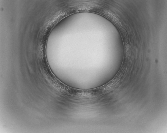 X0000060270354200511112053