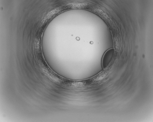 X0000060270357200511112053