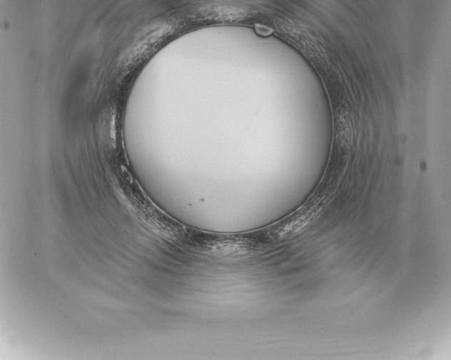 X0000060270358200511112053