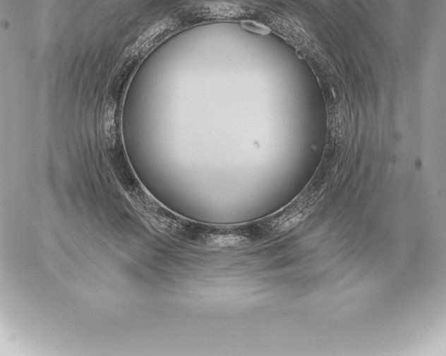 X0000060270360200511112053