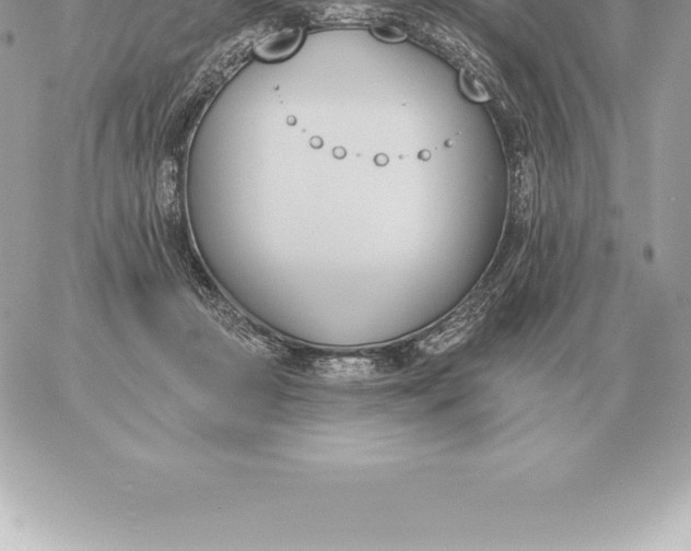 X0000060270361200511112053