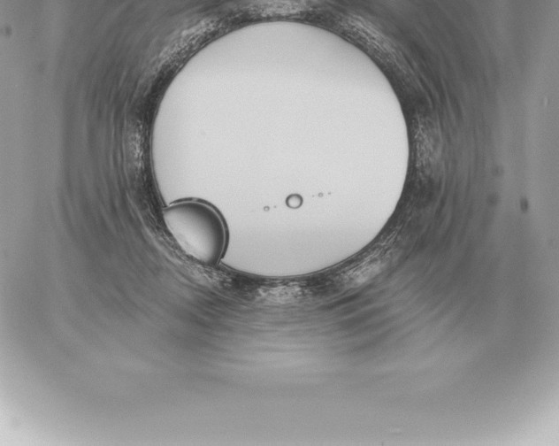 X0000060270362200511112053