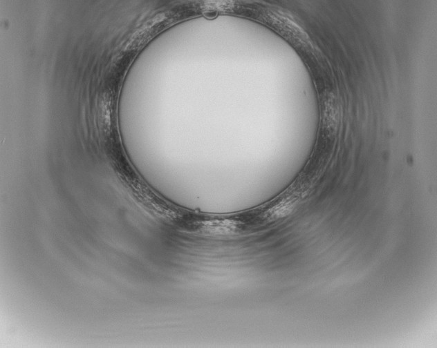 X0000060270363200511112053