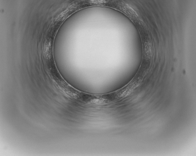 X0000060270364200511112053