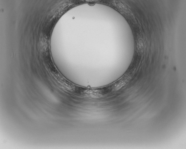 X0000060270367200511112053