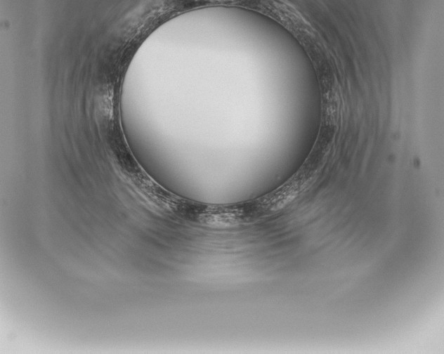 X0000060270368200511112053