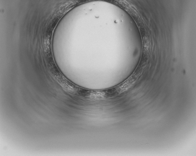 X0000060270369200511112053