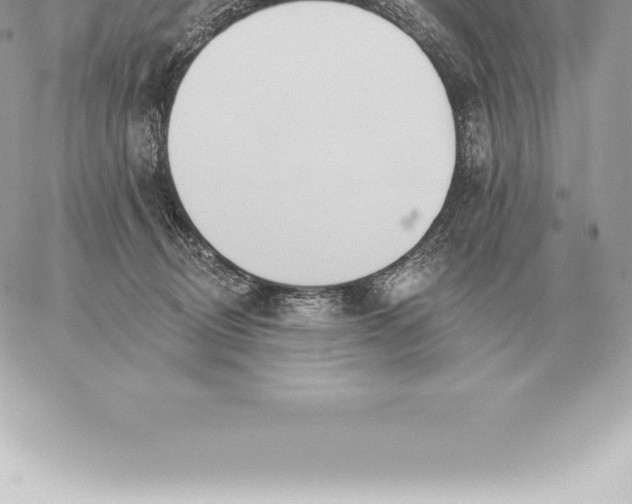 X0000060270370200511112053