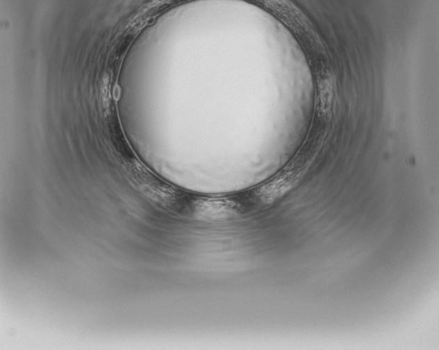 X0000060270372200511112053