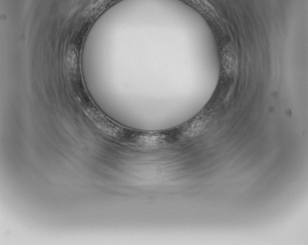 X0000060270375200511112053