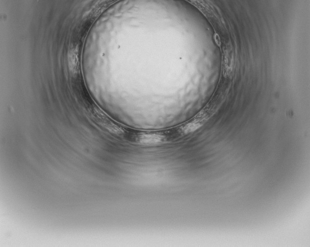 X0000060270376200511112053