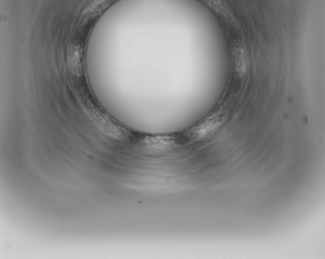 X0000060270378200511112053