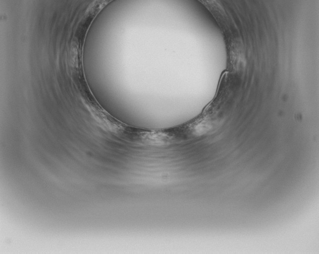 X0000060270379200511112053