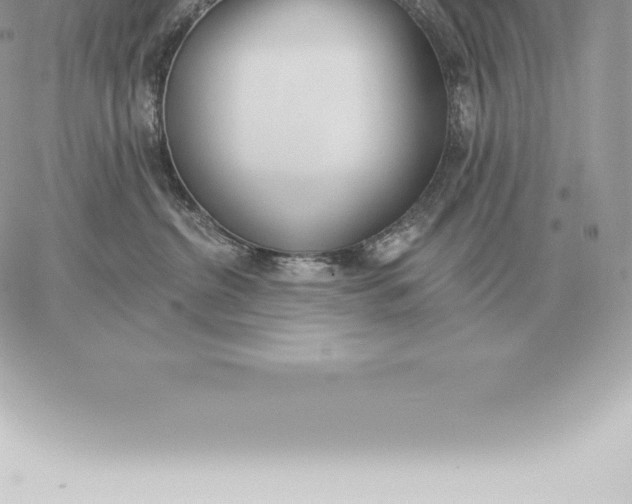 X0000060270380200511112053