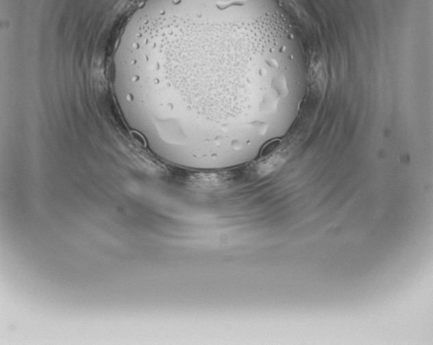 X0000060270381200511112053