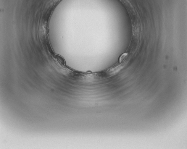 X0000060270382200511112053