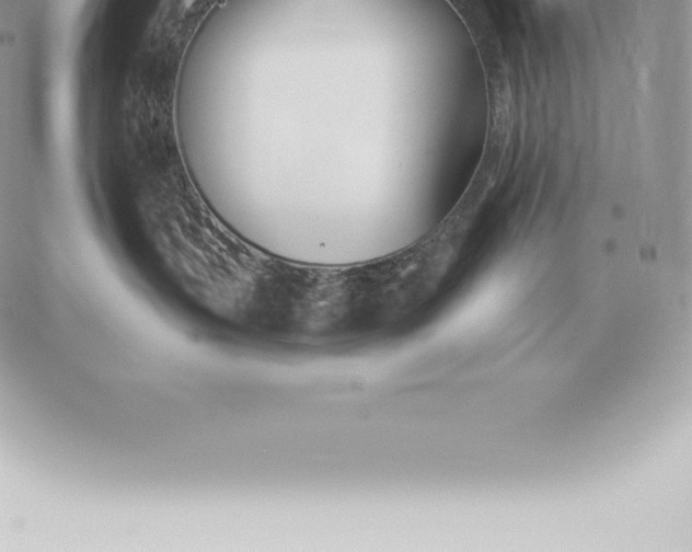 X0000060270383200511112053