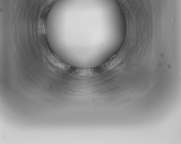 X0000060270384200511112053