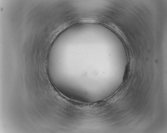 X0000060270385200511112052