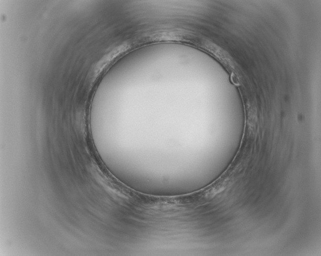 X0000060270386200511112052