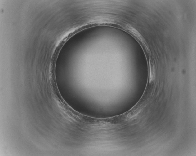 X0000060270387200511112052