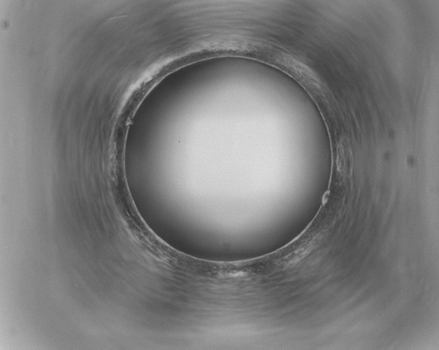 X0000060270388200511112052