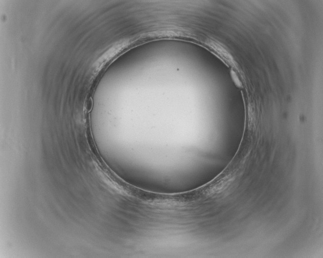 X0000060270389200511112052