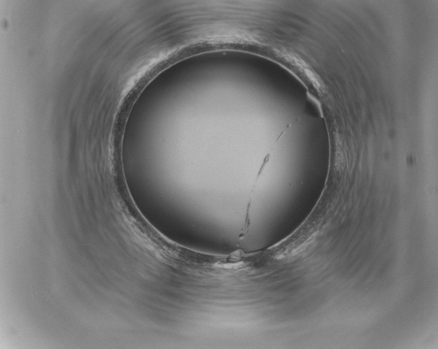 X0000060270391200511112052