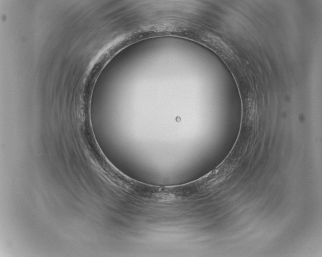 X0000060270392200511112052