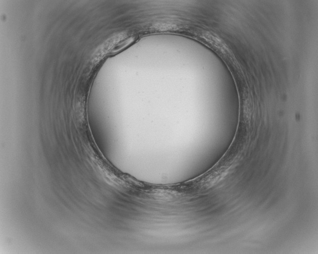 X0000060270393200511112052