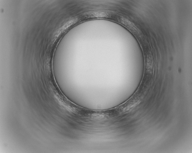 X0000060270394200511112052