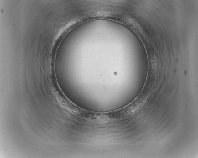 X0000060270395200511112052