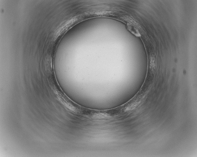 X0000060270397200511112052