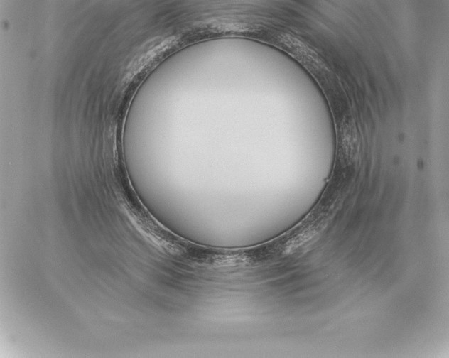 X0000060270398200511112052